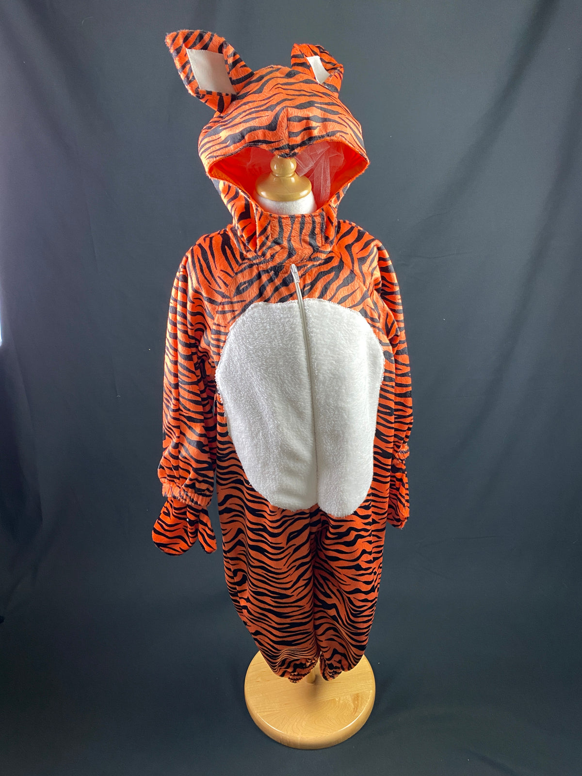 Dress Up Costumes
