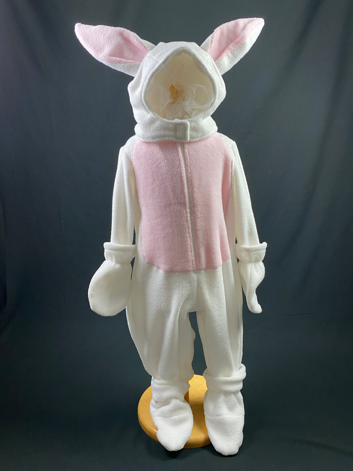Dress Up Costumes