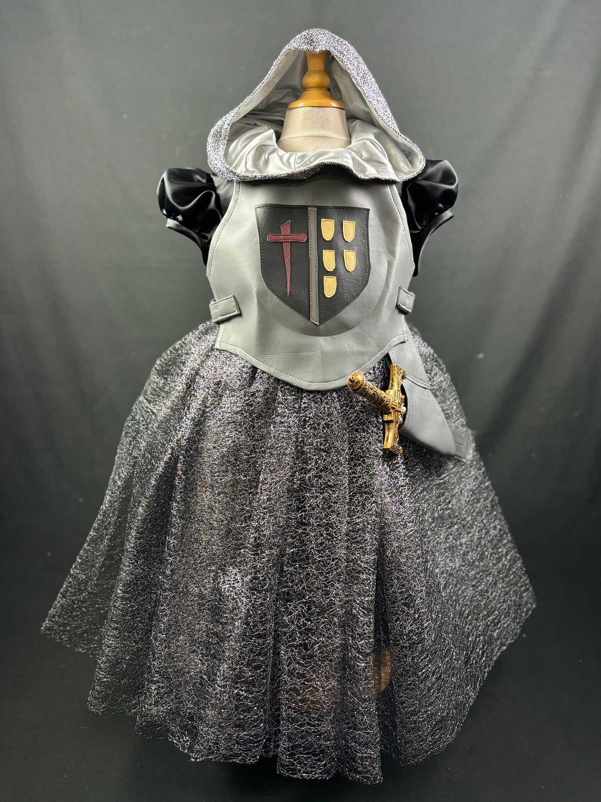 Medieval Knights