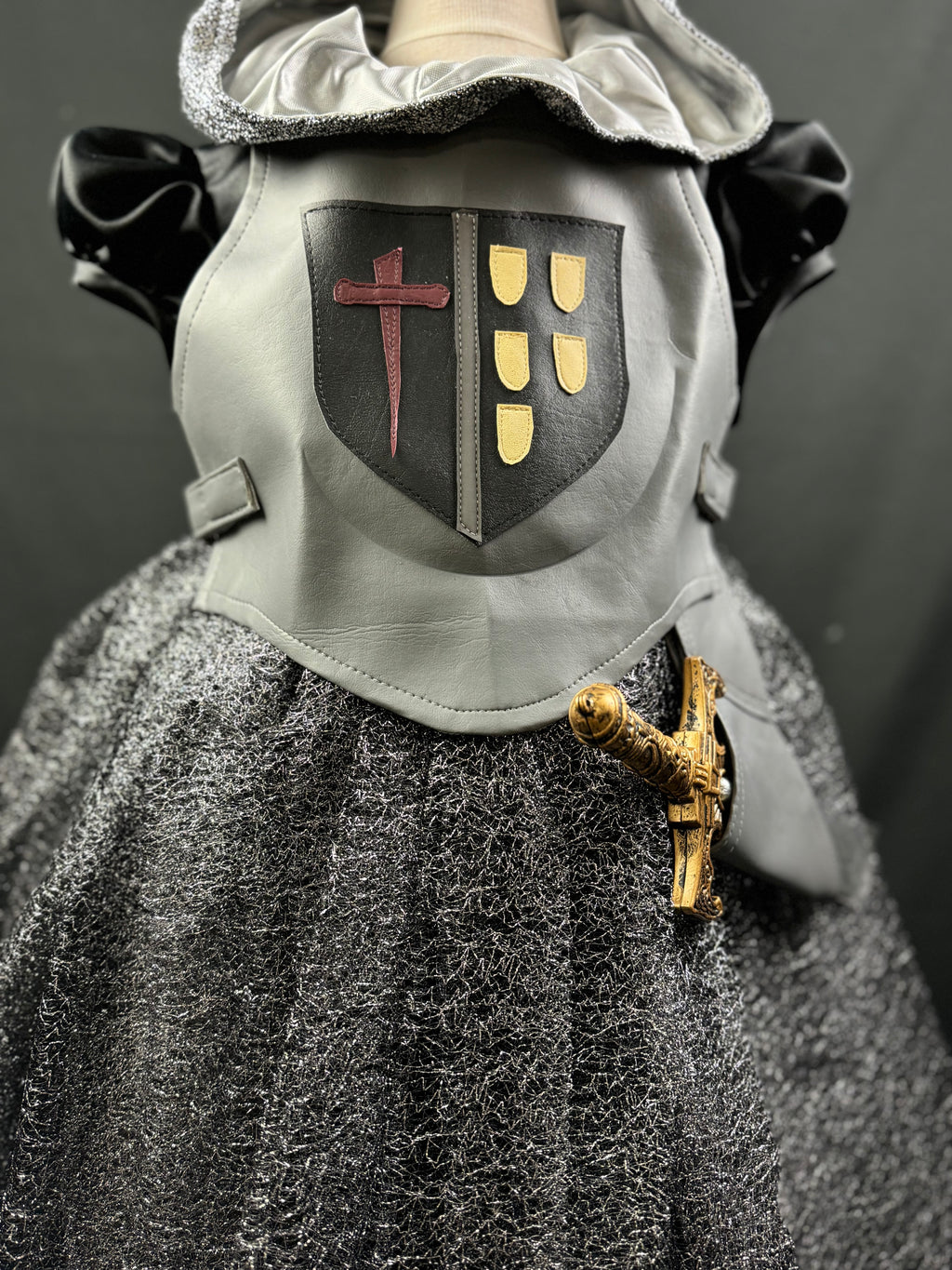 Medieval Knights