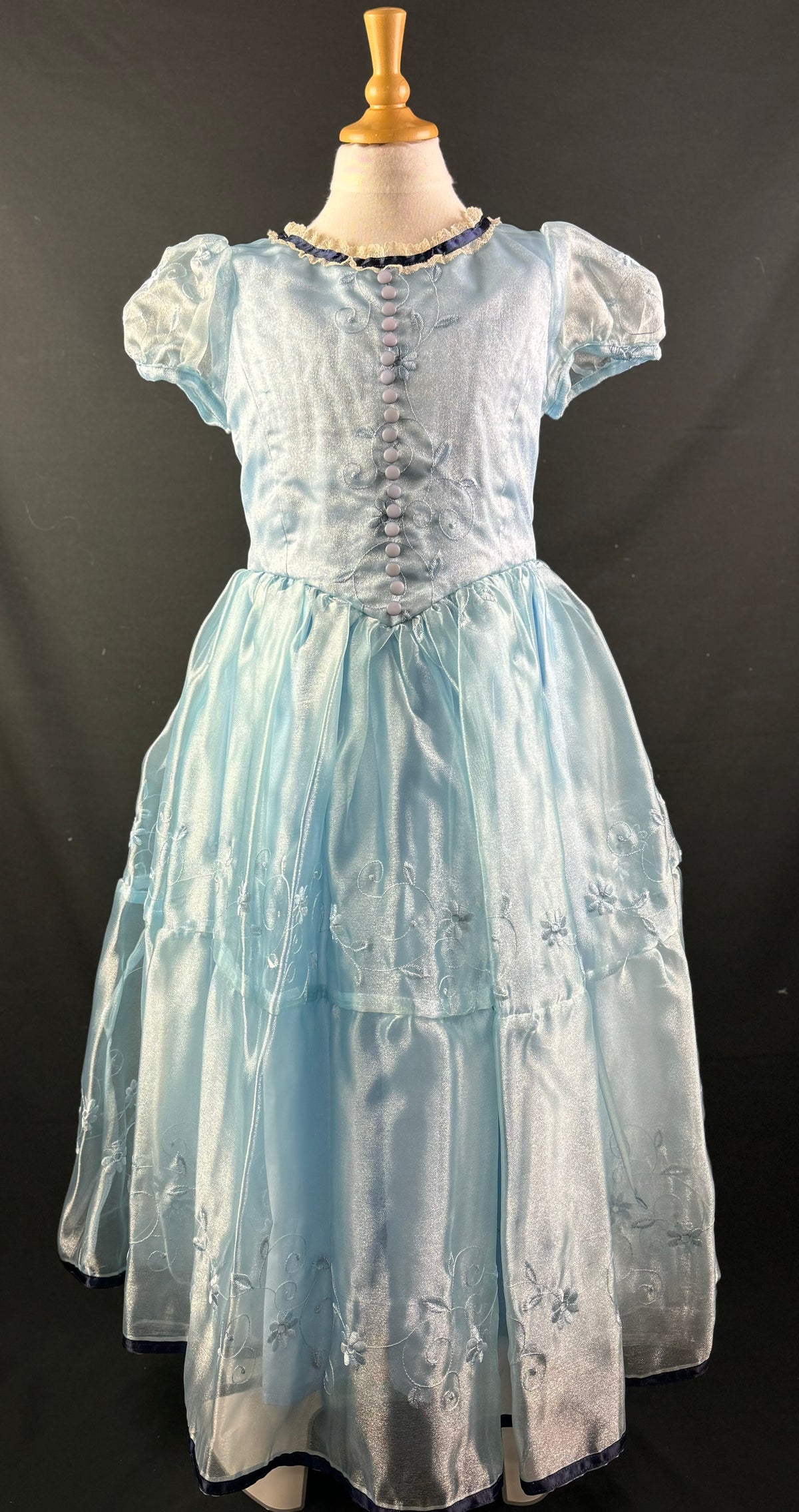 Fairytale Costumes
