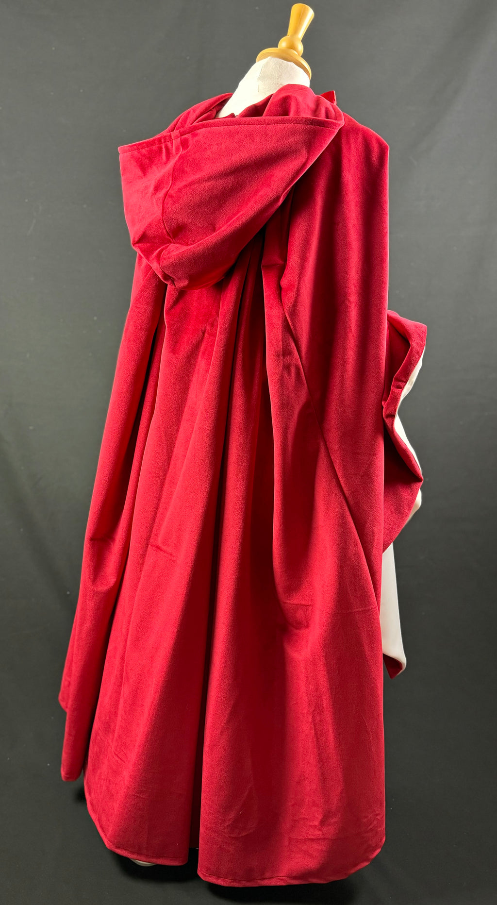 Velvet Medieval Dress and Cloak