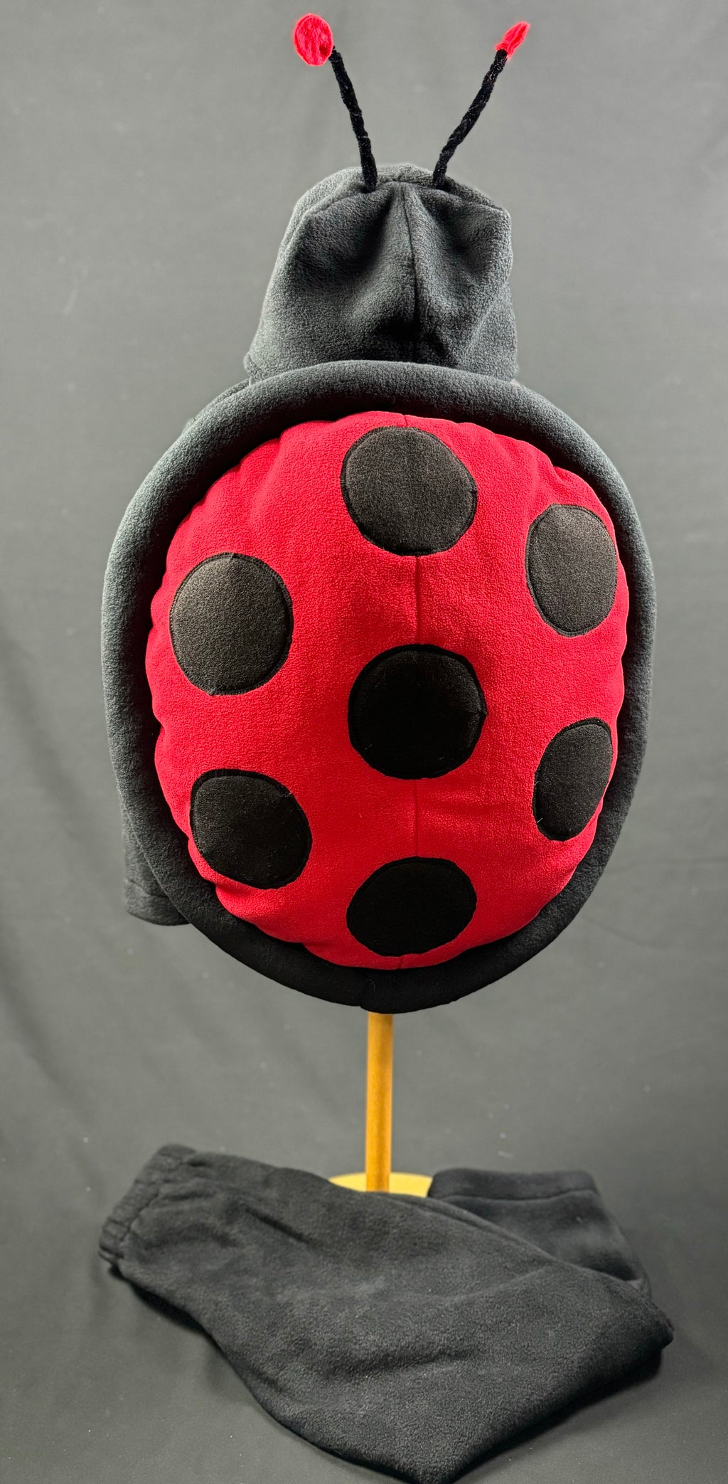 Ladybug
