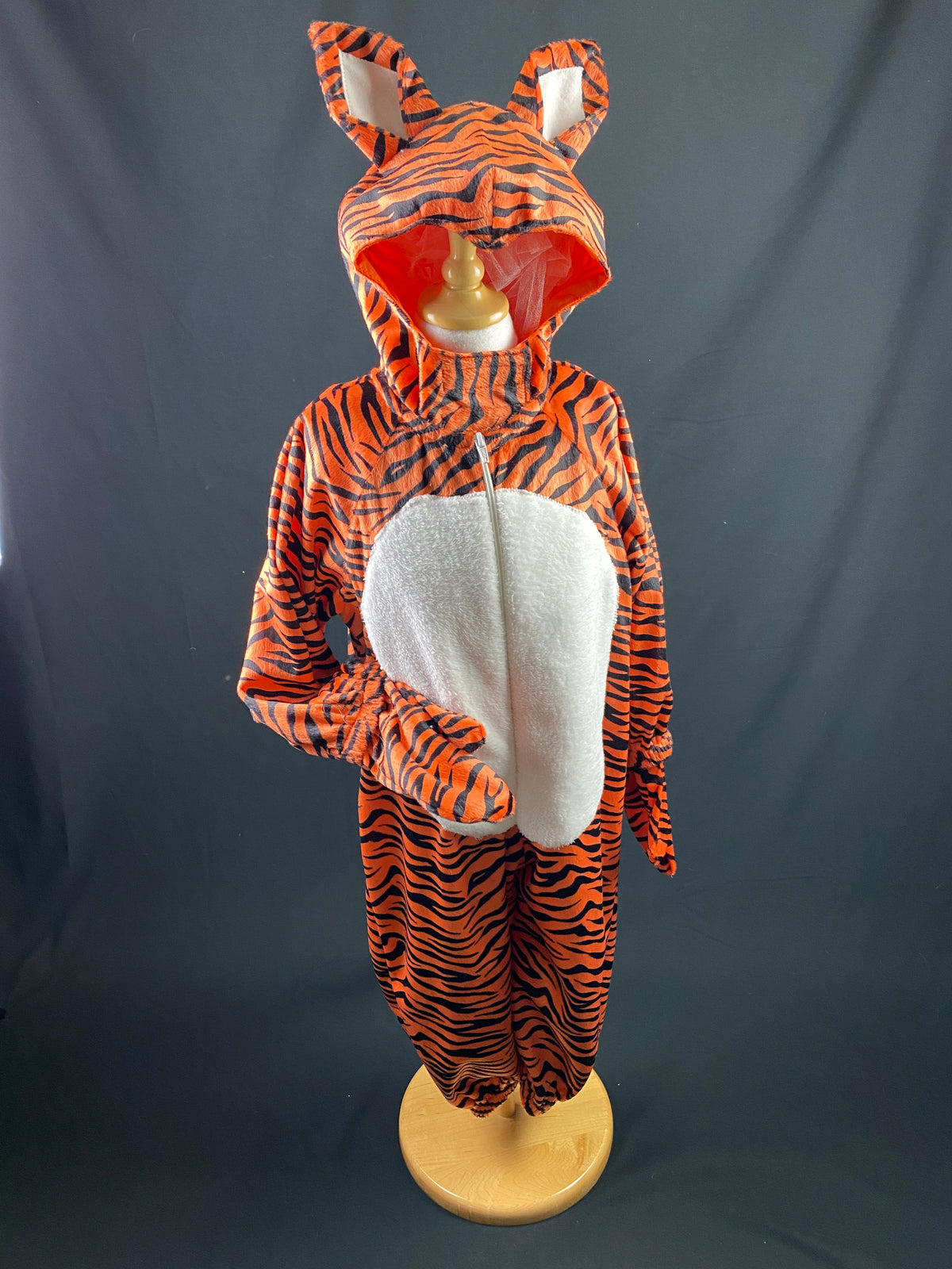 Dress Up Costumes