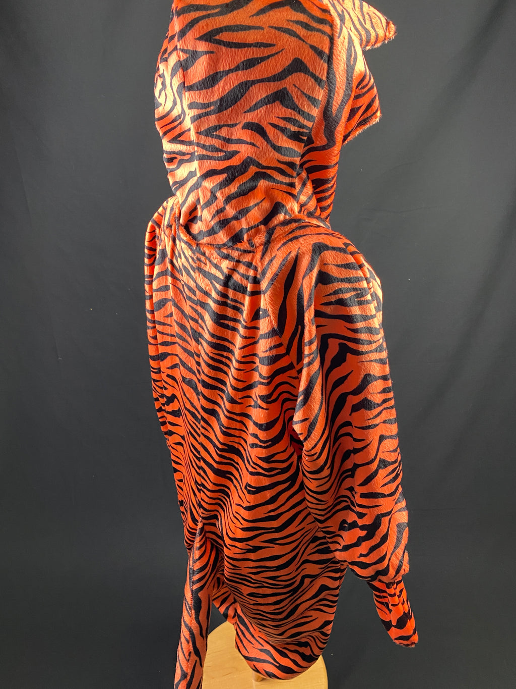 Dress Up Costumes